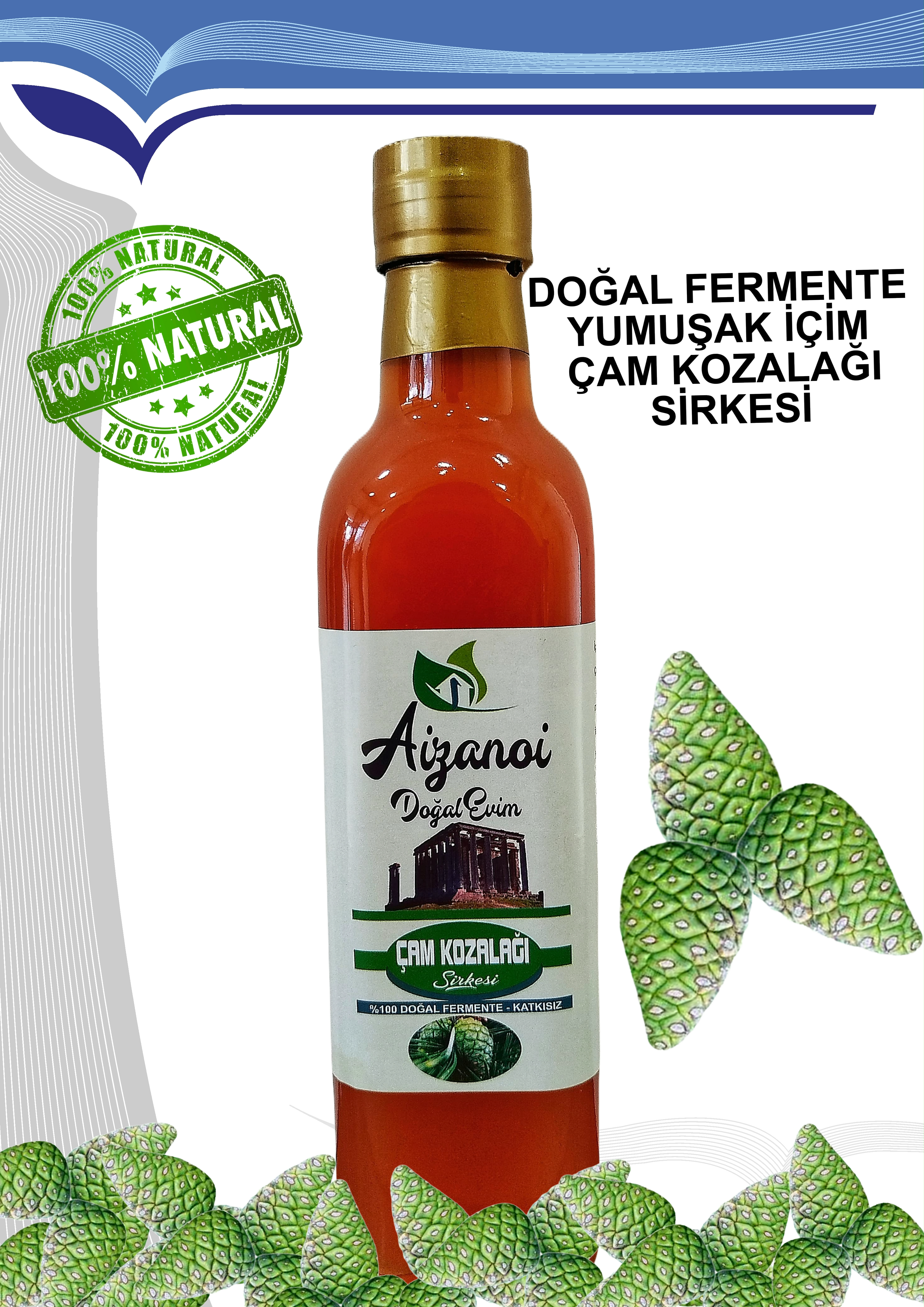 Çam Kozalağı Sirkesi 500 ml | Doğal Fermente İçimlik Çam Kozalağı Sirkesi | Katkısız Ham & Filtre Edilmemiş | Cam Şişe